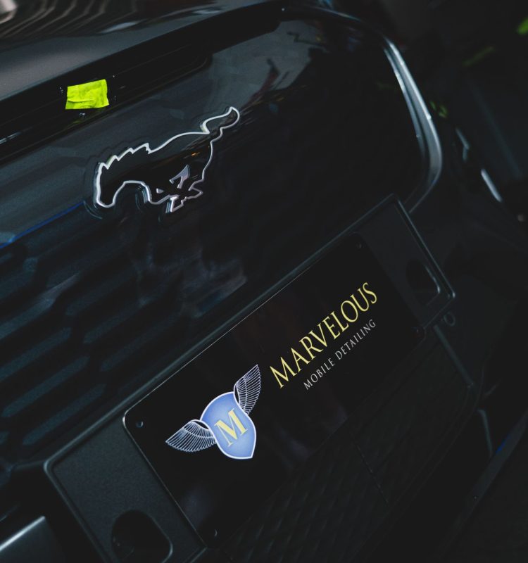 Marvelous Detailing (2)